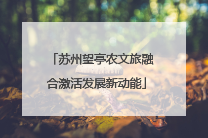 苏州望亭农文旅融合激活发展新动能