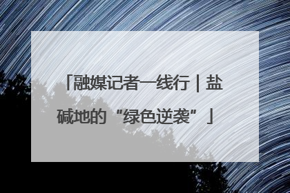 融媒记者一线行｜盐碱地的“绿色逆袭”