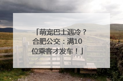 萌宠巴士遇冷？合肥公交：满10位乘客才发车！