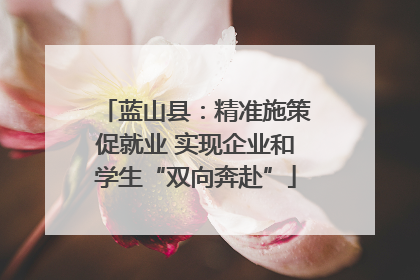 蓝山县：精准施策促就业 实现企业和学生“双向奔赴”