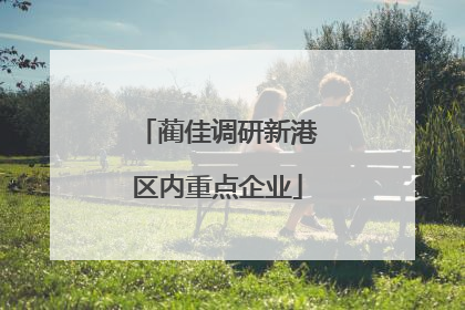 蔺佳调研新港区内重点企业