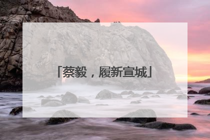 蔡毅，履新宣城