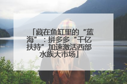 藏在鱼缸里的“蓝海”：拼多多“千亿扶持”加速激活西部水族大市场