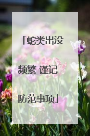 蛇类出没频繁 谨记防范事项