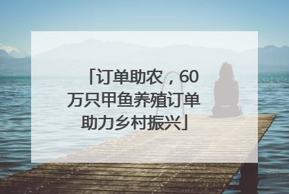 订单助农，60万只甲鱼养殖订单助力乡村振兴