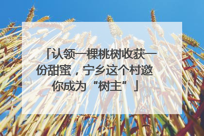 认领一棵桃树收获一份甜蜜，宁乡这个村邀你成为“树主”