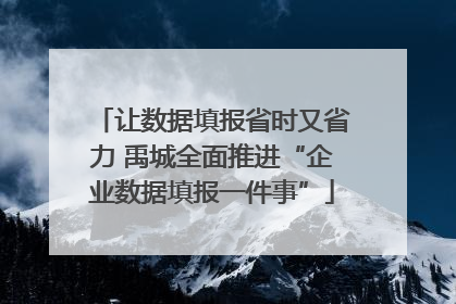 让数据填报省时又省力 禹城全面推进“企业数据填报一件事”