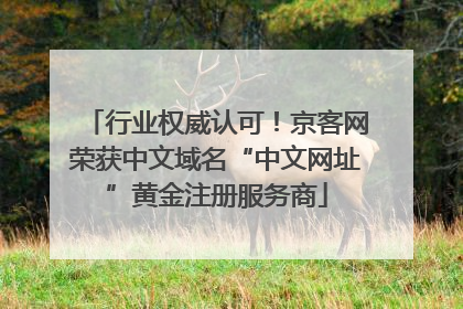 行业权威认可！京客网荣获中文域名“中文网址”黄金注册服务商