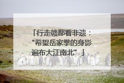 行走赣鄱看非遗：“希望岳家拳的身影遍布大江南北”
