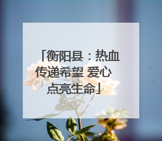 衡阳县：热血传递希望 爱心点亮生命