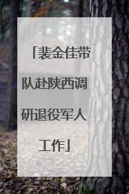 裴金佳带队赴陕西调研退役军人工作