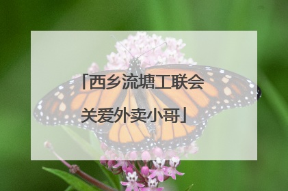 西乡流塘工联会关爱外卖小哥