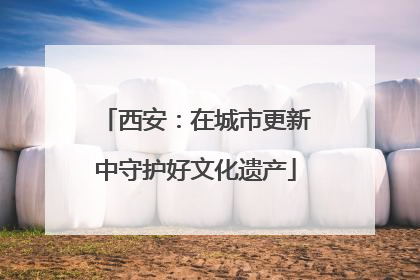 西安：在城市更新中守护好文化遗产
