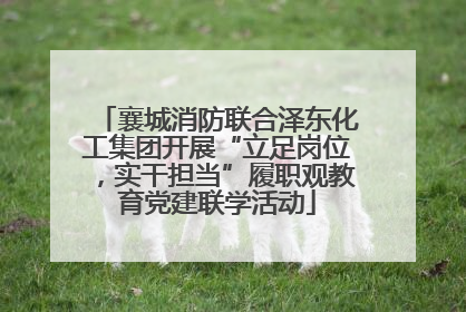 襄城消防联合泽东化工集团开展“立足岗位，实干担当”履职观教育党建联学活动