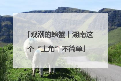 观潮的螃蟹丨湖南这个“主角”不简单