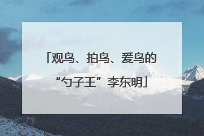 观鸟、拍鸟、爱鸟的“勺子王”李东明