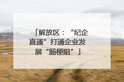 解放区：“纪企直通”打通企业发展“肠梗阻”