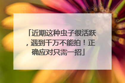 近期这种虫子很活跃，遇到千万不能拍！正确应对只需一招