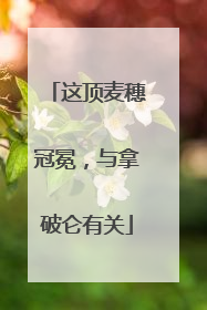 这顶麦穗冠冕，与拿破仑有关