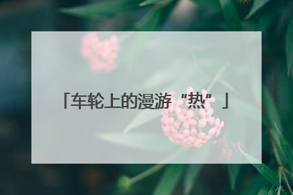 车轮上的漫游“热”