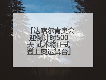 达喀尔青奥会迎倒计时500天 武术将正式登上奥运舞台