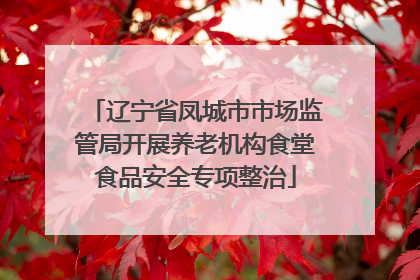 辽宁省凤城市市场监管局开展养老机构食堂食品安全专项整治