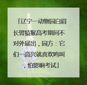 辽宁一动物园白眉长臂猿猴高考期间不对外展出，园方：它们一高兴就喜欢鸣叫，怕影响考试