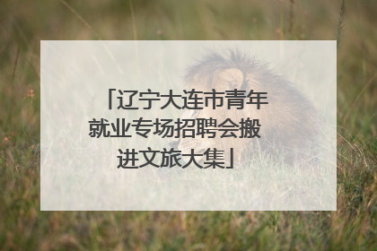 辽宁大连市青年就业专场招聘会搬进文旅大集