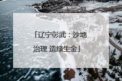 辽宁彰武：沙地治理 造绿生金