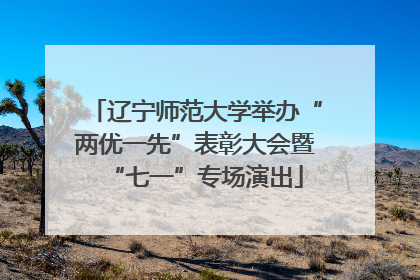 辽宁师范大学举办“两优一先”表彰大会暨“七一”专场演出