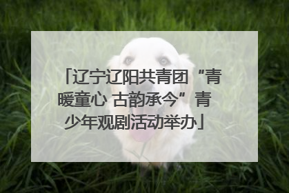 辽宁辽阳共青团“青暖童心 古韵承今”青少年观剧活动举办