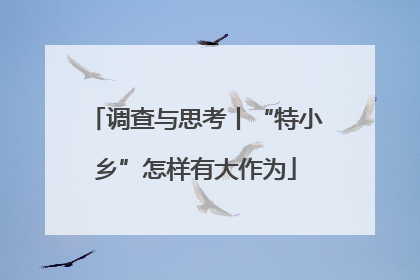 调查与思考丨“特小乡”怎样有大作为