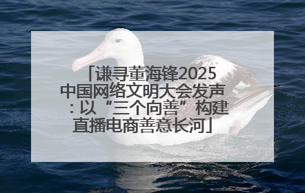 谦寻董海锋2025中国网络文明大会发声：以“三个向善”构建直播电商善意长河