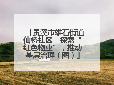 贵溪市雄石街道仙桥社区：探索“红色物业”，推动基层治理（图）