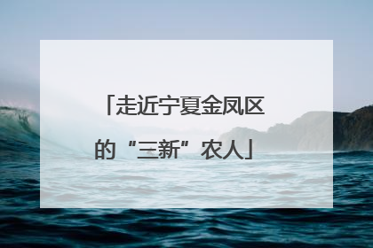 走近宁夏金凤区的“三新”农人