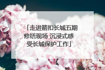 走进箭扣长城五期修缮现场 沉浸式感受长城保护工作