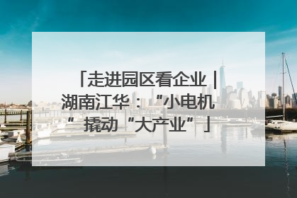 走进园区看企业｜湖南江华：“小电机”撬动“大产业”