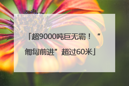 超9000吨巨无霸！“匍匐前进”超过60米