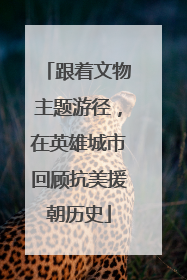 跟着文物主题游径，在英雄城市回顾抗美援朝历史