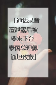通话录音遭泄露后被要求下台 泰国总理佩通坦致歉
