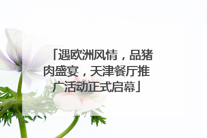 遇欧洲风情，品猪肉盛宴，天津餐厅推广活动正式启幕