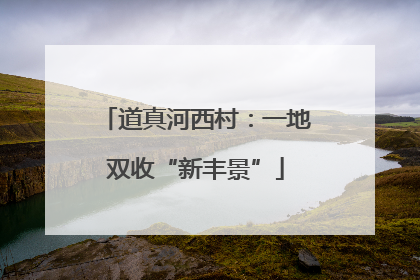 道真河西村：一地双收“新丰景”