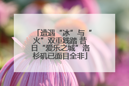 遭遇“冰”与“火”双重践踏 昔日“爱乐之城”洛杉矶已面目全非