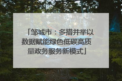 邹城市：多措并举以数据赋能绿色低碳高质量政务服务新模式