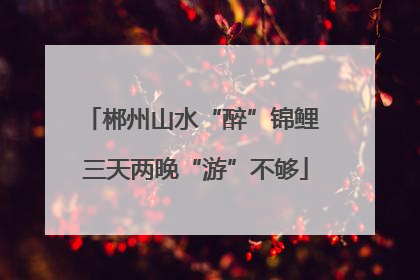 郴州山水“醉”锦鲤 三天两晚“游”不够
