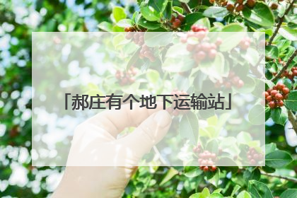郝庄有个地下运输站