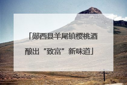 郧西县羊尾镇樱桃酒酿出“致富”新味道
