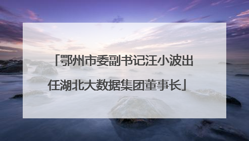 鄂州市委副书记汪小波出任湖北大数据集团董事长