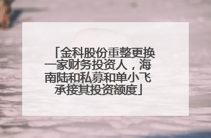 金科股份重整更换一家财务投资人，海南陆和私募和单小飞承接其投资额度