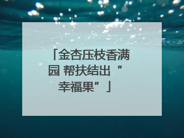 金杏压枝香满园 帮扶结出“幸福果”